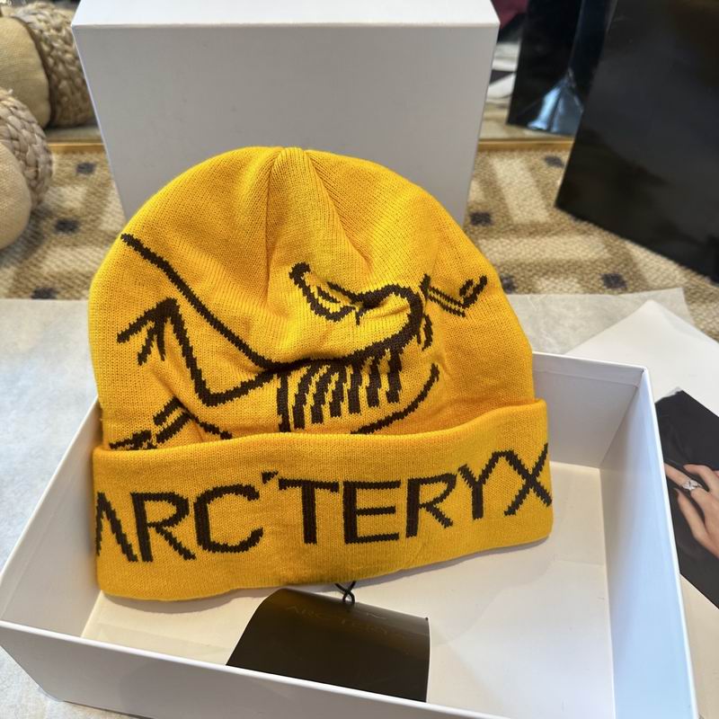 Arcteryx hat 010305