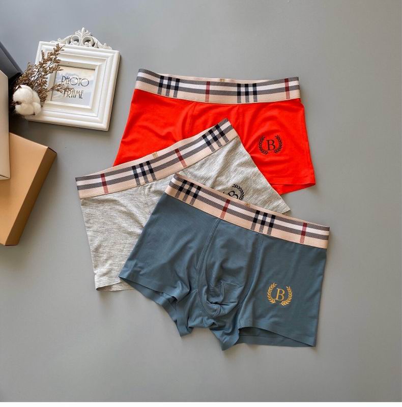 Burberry boxer L-3XL 051804