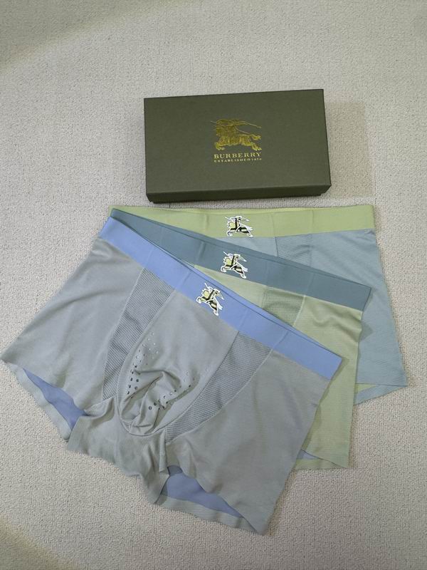 Burberry boxer L-4XL 091806