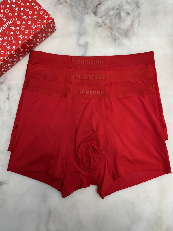 Burberry boxer L-4XL 041709