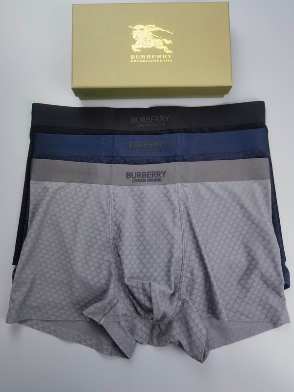 Burberry boxer L-4XL 050909