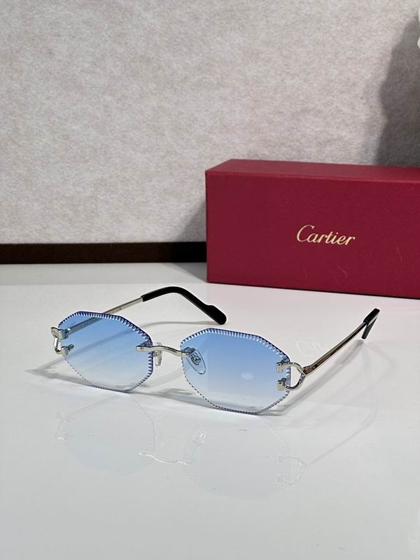 Cartier Glasses smr190