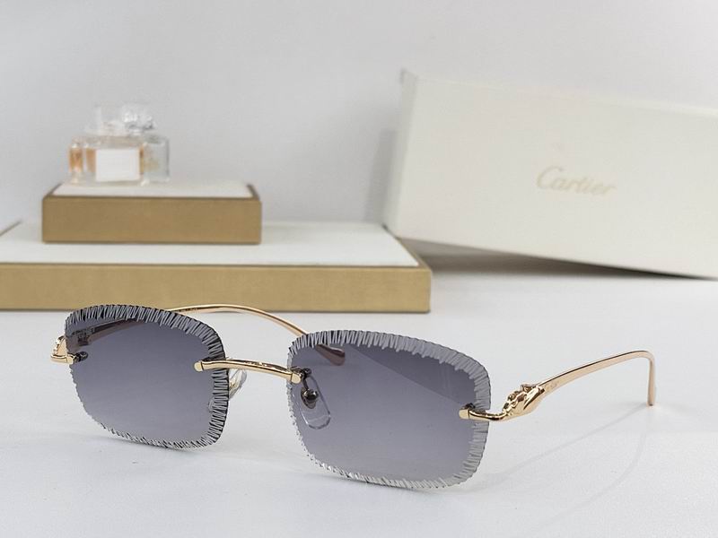 Cartier Glasses smr60