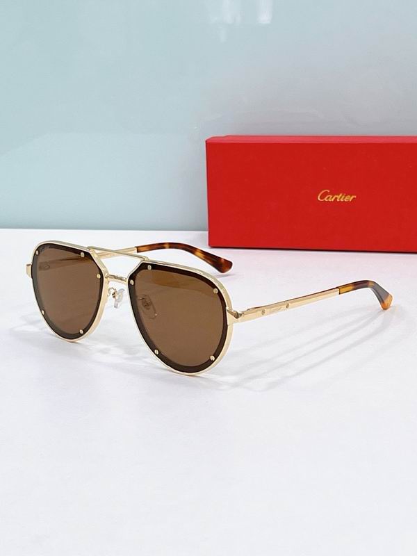 Cartier Glasses smr317