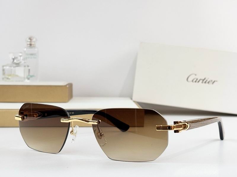 Cartier Glasses smr302