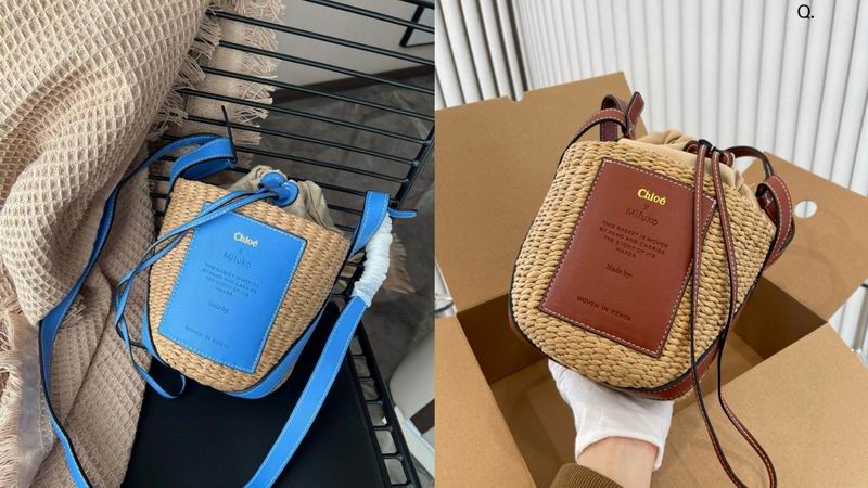 Chloe beach bag dx23