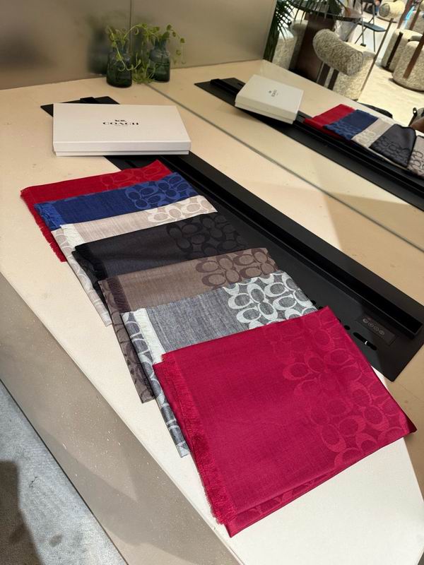 Coach  scarf 195X65cm E121245
