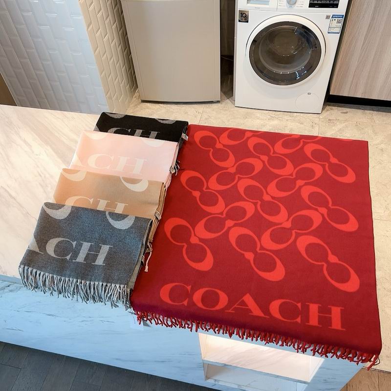 Coach Scarf 195X70cm E100804