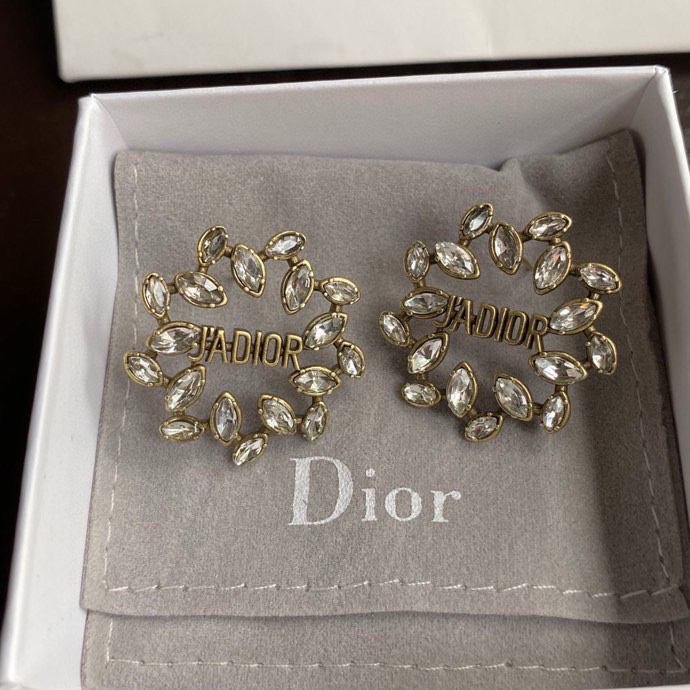 Dior Earring 01lyh267