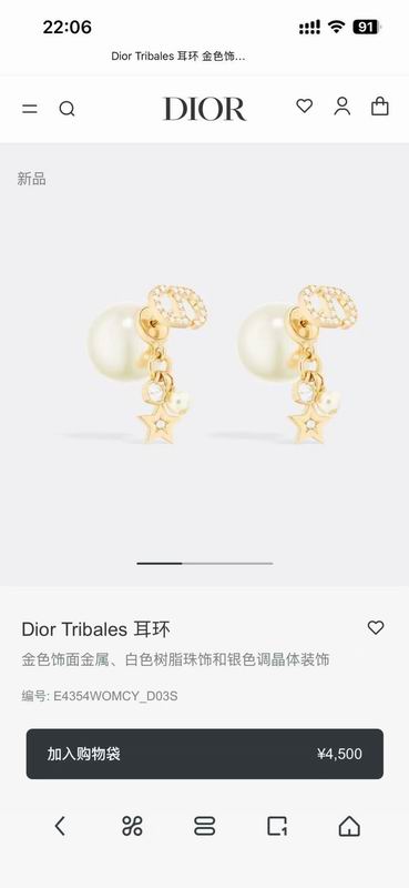 Dior Earring 02yxs39