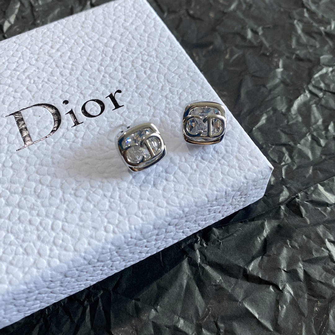 Dior Earring 04yxs298