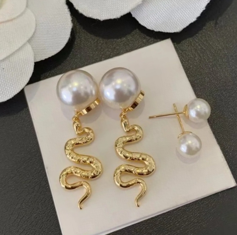 Dior Earring 05yxh17