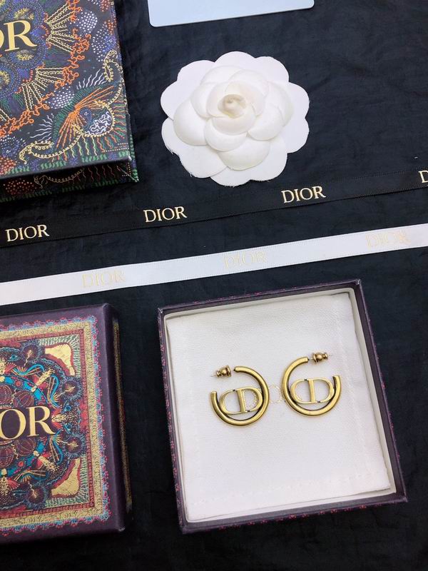 Dior Earring 05yxh68