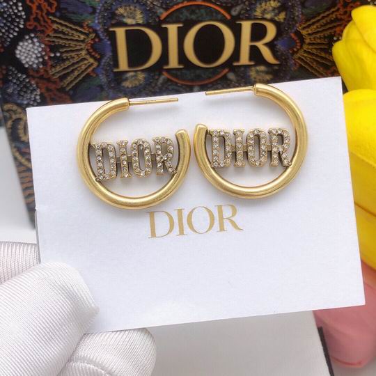 Dior Earring 12lyh199