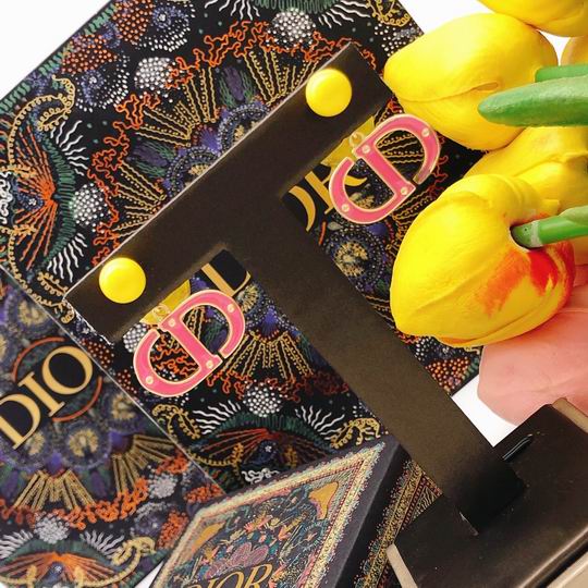 Dior Earring 12lyh213