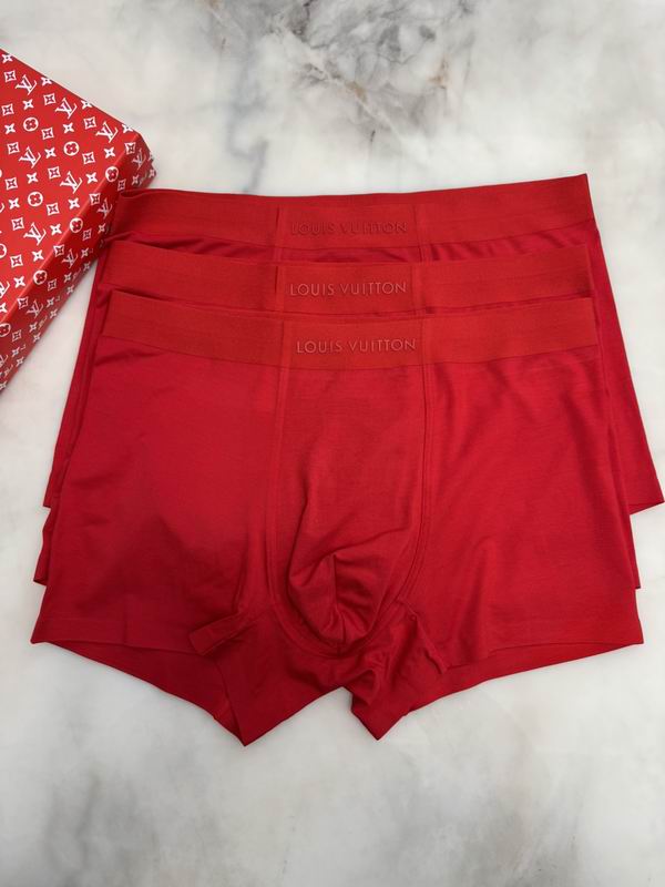 LV boxer L-4XL 041710