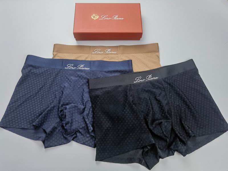 Loro Piana boxer L-4XL 050913