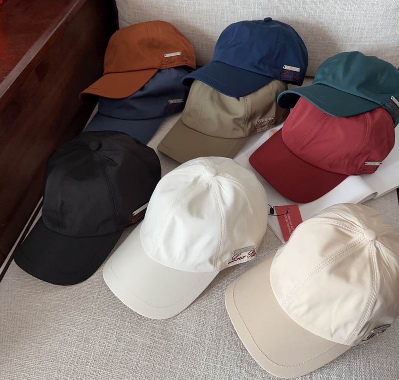 Loro Piana cap dx24