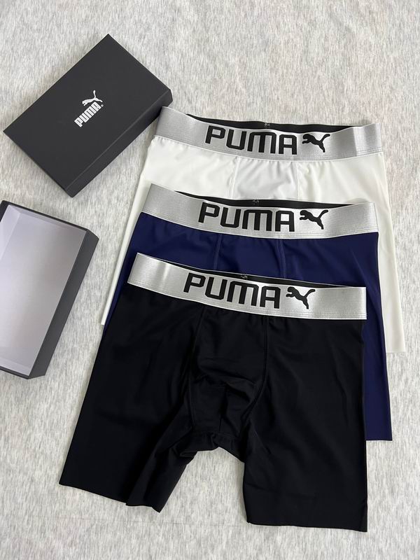 Puma boxer