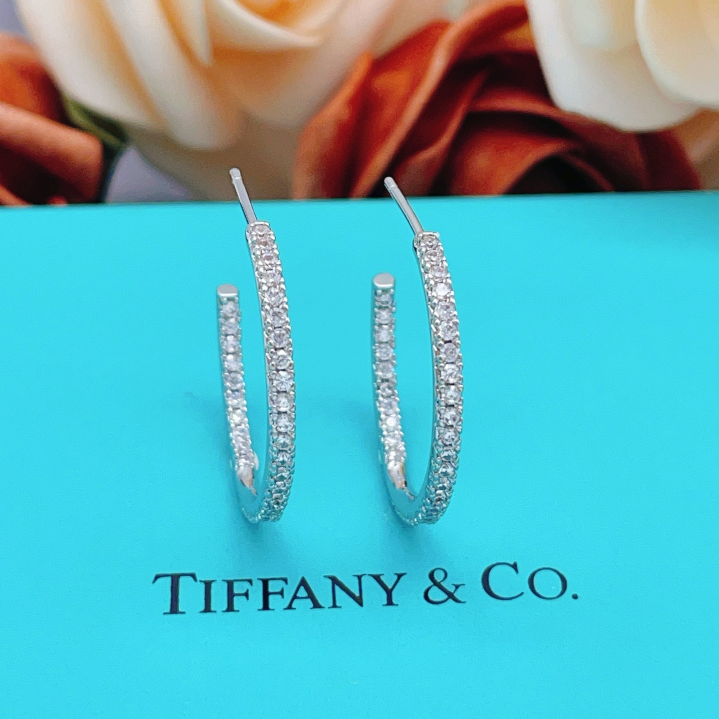 Tiffany Earring 02yxs08