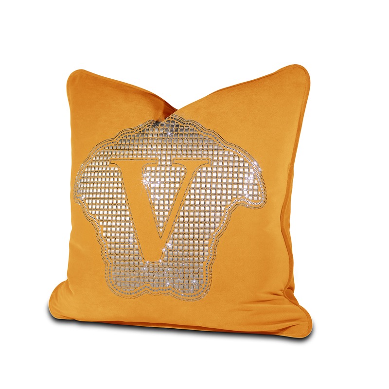 Versace Cushions 45X45cm 02