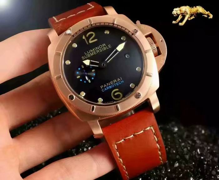 Panerai watch (10)