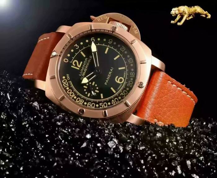 Panerai watch (11)