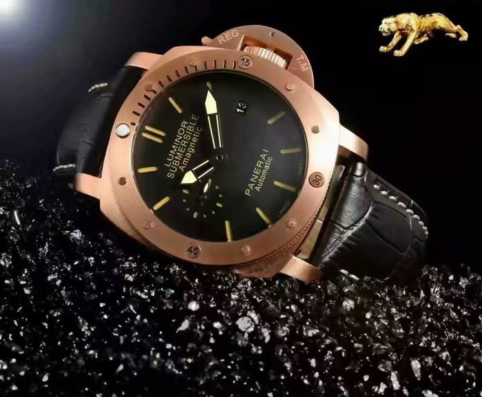 Panerai watch (12)