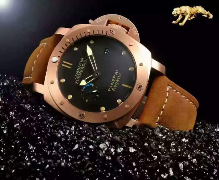 Panerai watch (13)