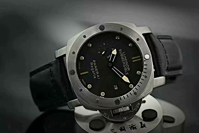 Panerai watch (18)