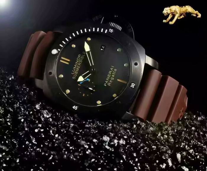 Panerai watch (19)
