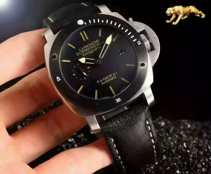 Panerai watch (20)
