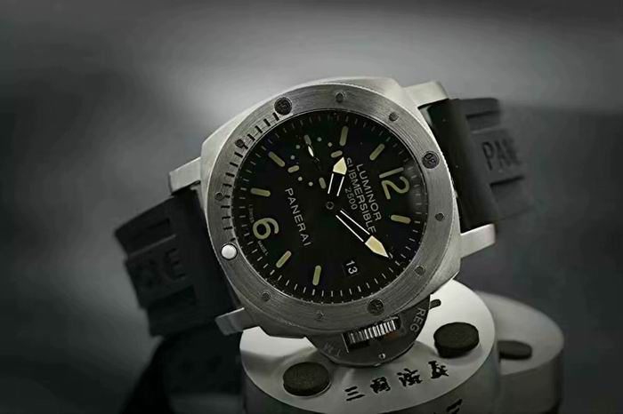 Panerai watch (23)