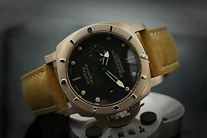 Panerai watch (27)