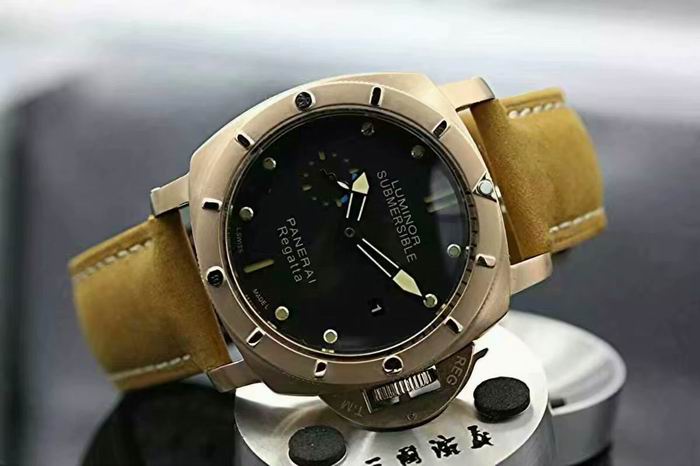 Panerai watch (28)