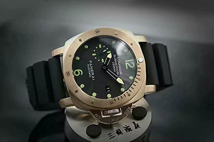 Panerai watch (30)