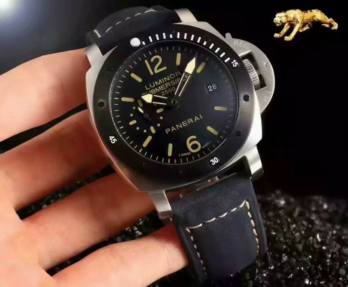 Panerai watch (4)