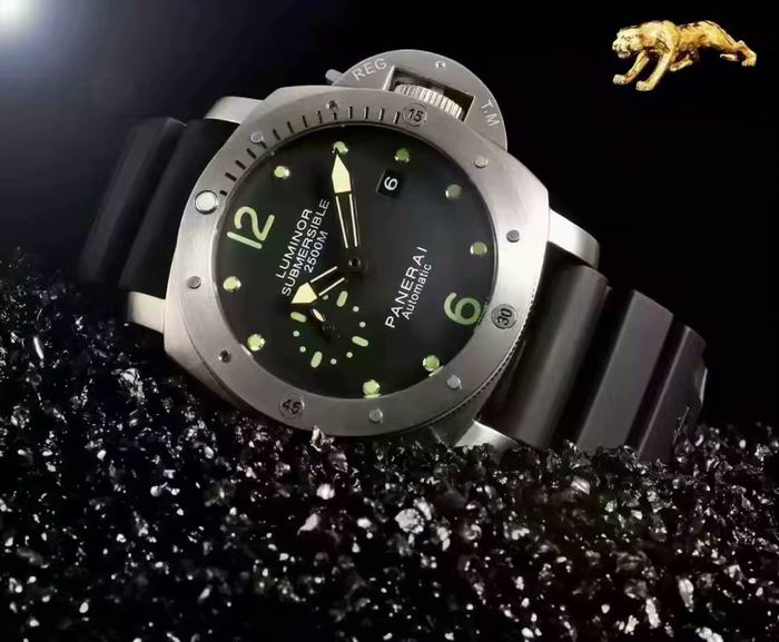 Panerai watch (6)