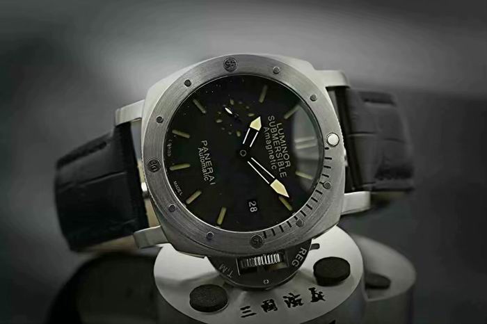 Panerai watch (9)