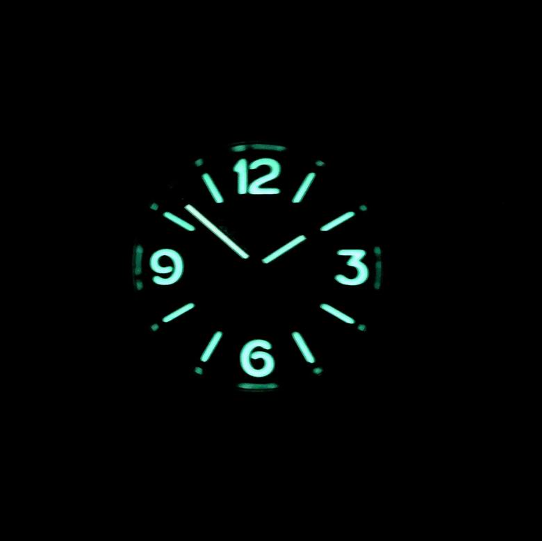 Panerai watch  (7)