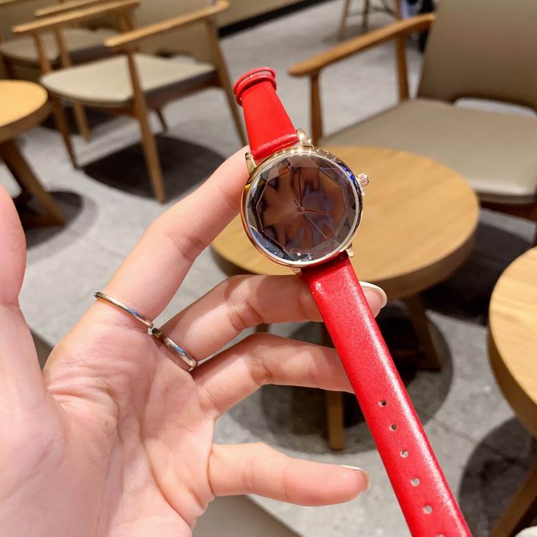 Swarovski watch (2)