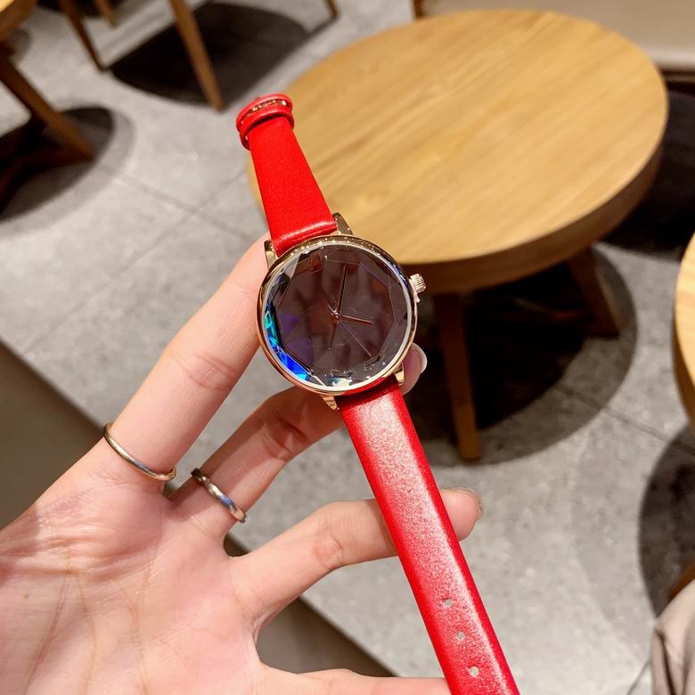 Swarovski watch (4)