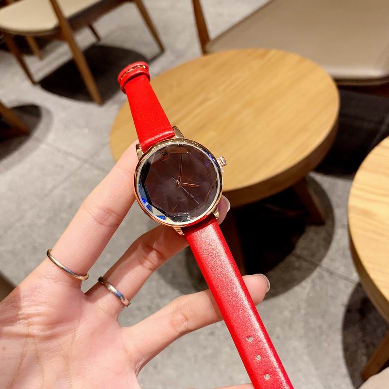 Swarovski watch (7)