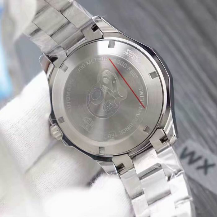 Tag Heuer watch (24)