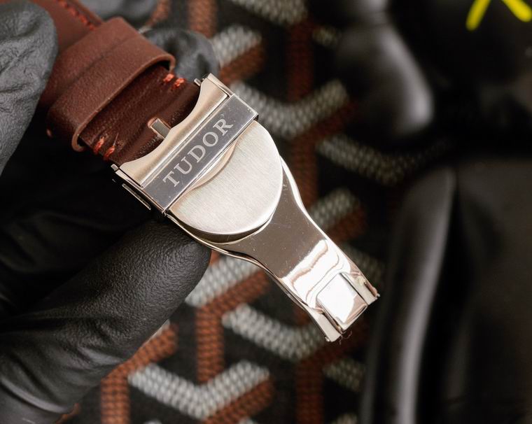 Tudor 42mm (17)