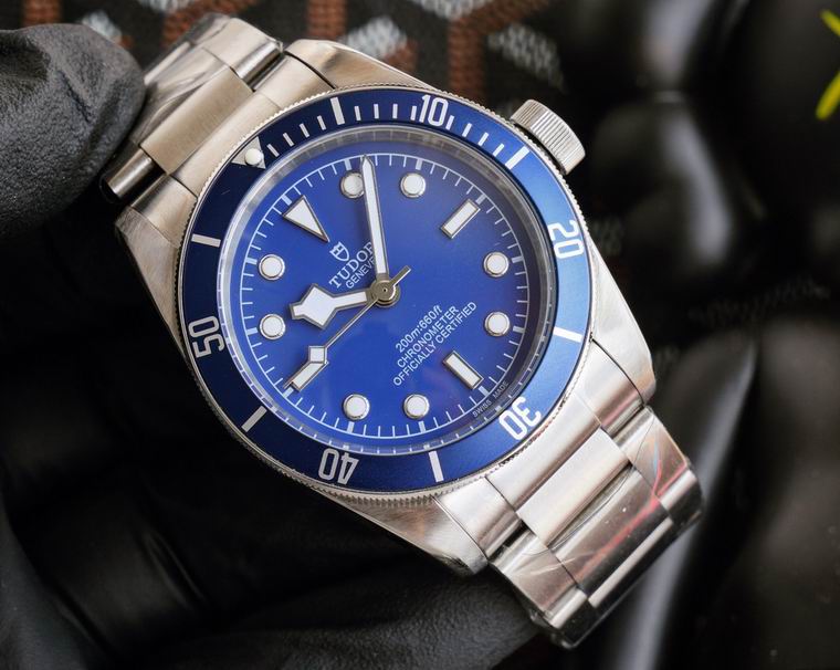 Tudor 42mm (8)