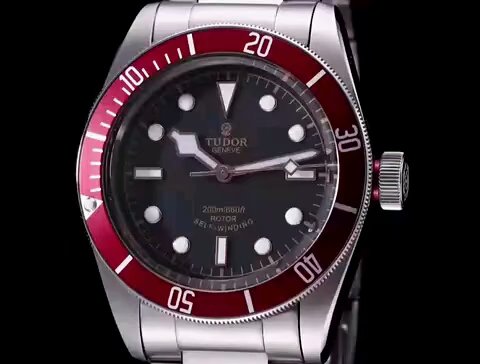Tudor watch (1)