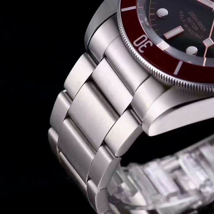 Tudor watch (33)