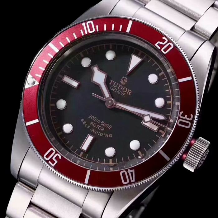 Tudor watch (34)