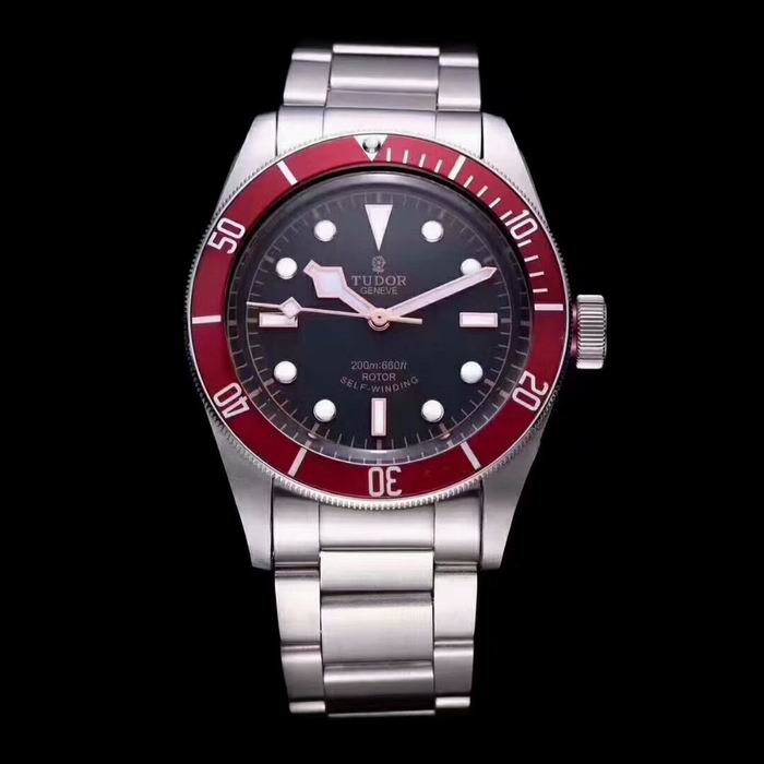 Tudor watch (35)